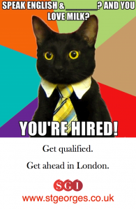 Jobs in London for foreign language speakers