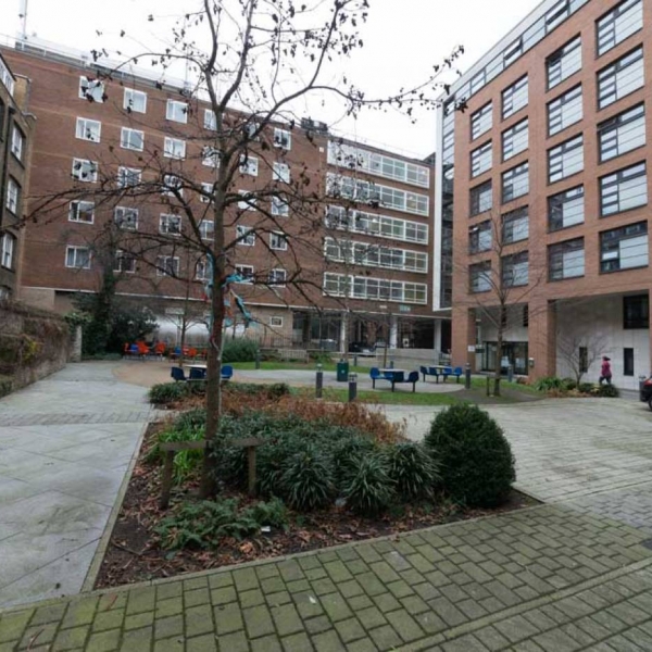 SGI's residential programme takes place at University College London Halls